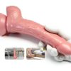 Domlust Pink Jelly Dildo Realistic Design Anal Stimulation-3