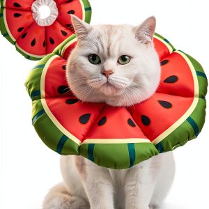 Avont Cat Cone Collar Recovery E Collar for Cats Melon Large-0
