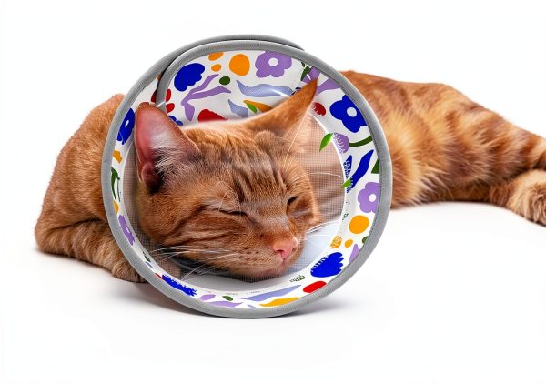 GoGoPaw Breathable Air Mesh Cat Cone Collar Adjustable Recovery-1