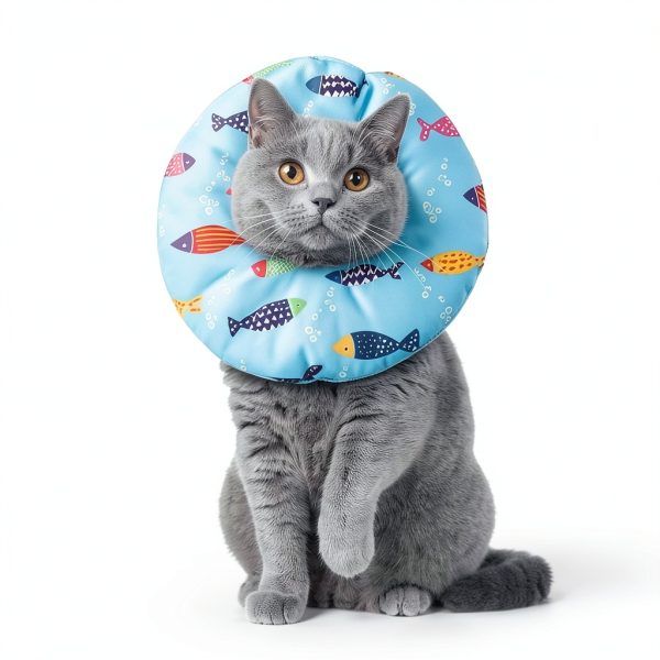 Cat Cone Collar Soft Adjustable Recovery Collar by libfrnt Blue-4