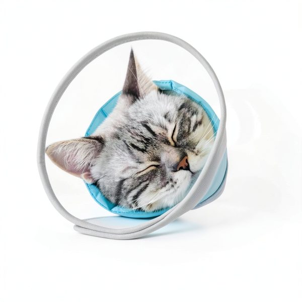 Cat Cone Collar Soft: Comfortable Waterproof Mesh Recovery Cone After Surgery to Stop Licking and Scratch, Alternative to Plastic Elizabeth Head/Neck Cone-3