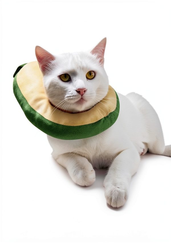 Cat Cone Adjustable Recovery Collar by Frienda 2‑Piece Donut Design-6