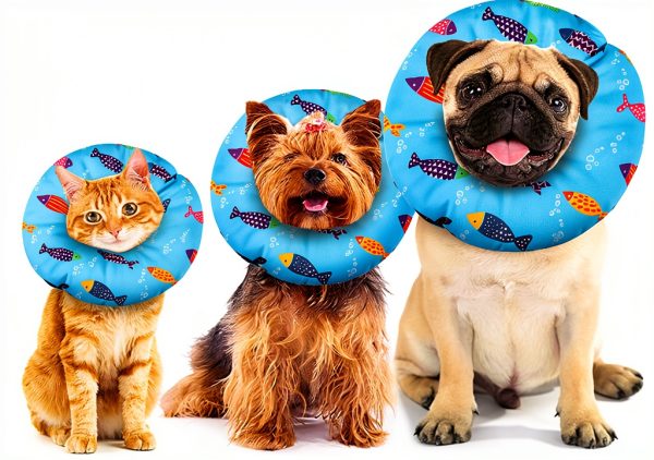 Cat Cone Collar Soft Adjustable Recovery Collar by libfrnt Blue-6