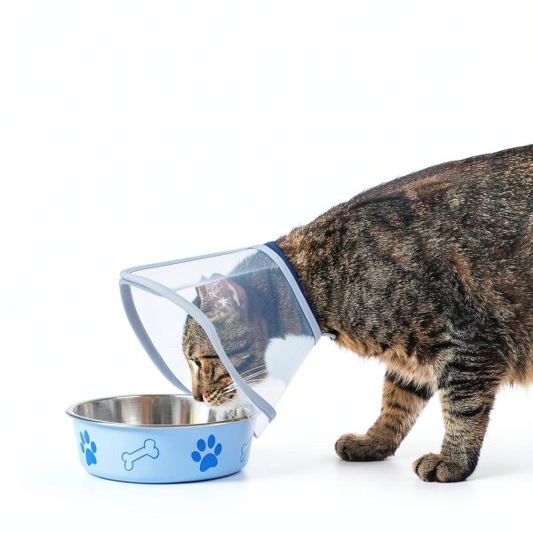 Cat Cone Collar Soft: Comfortable Waterproof Mesh Recovery Cone After Surgery to Stop Licking and Scratch, Alternative to Plastic Elizabeth Head/Neck Cone-2