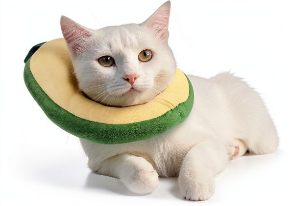Weewooday 4 Pcs Adjustable Cat Cone Collar Soft Cat Recovery Collar Cute Kitten Fruits Shaped After Surgery Wound Elizabeth Padded Pet Neck Anti Bite Lick Dog Comfortable Smooth Texture-5