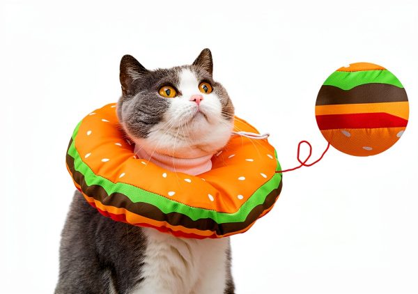 EWES Cat Cone Collar Soft M – Recovery Collar with Hamburger Style-2