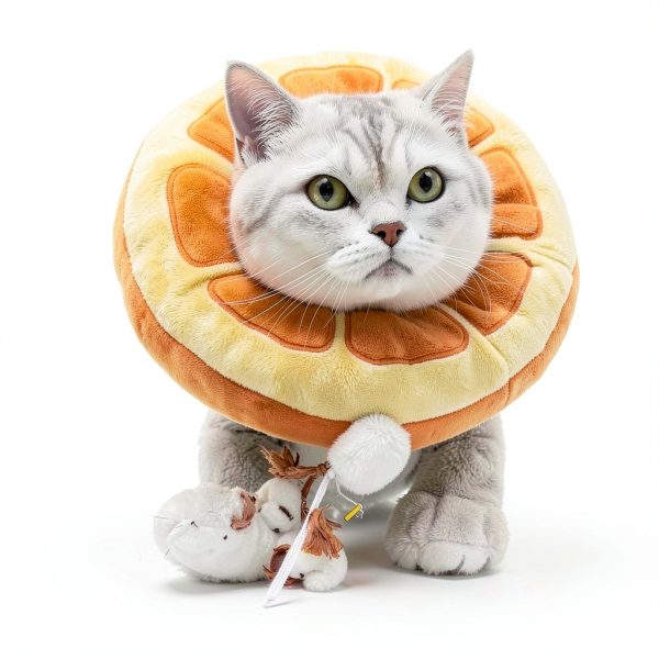 ANWA Adjustable Cat Cone Collar Soft, Cute Cat Donut Collar After Surgery, Kitten Recovery Cones to Stop Licking-3