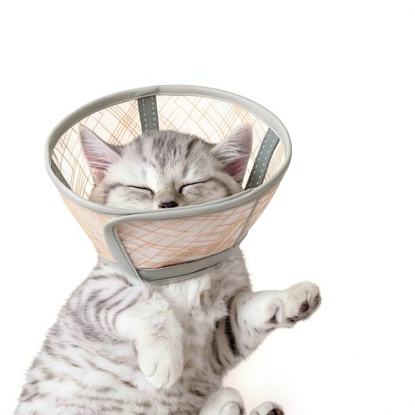 Supet Cat Cone Collar Soft, Air Mesh Recovery Collar to Stop Licking, Breathable Neck Cone Alternative for Small Kitten, Lightweight Cat Head Cone Anti Scratch (S)-4