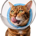 Cat Cone Collar Soft: Comfortable Waterproof Mesh Recovery Cone After Surgery to Stop Licking and Scratch, Alternative to Plastic Elizabeth Head/Neck Cone-0