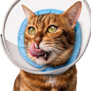 Cat Cone Collar Soft: Comfortable Waterproof Mesh Recovery Cone After Surgery to Stop Licking and Scratch, Alternative to Plastic Elizabeth Head/Neck Cone-0