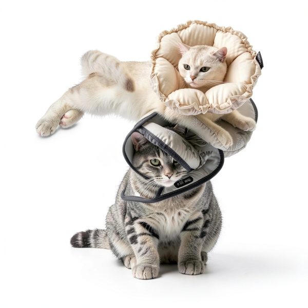 H HIDREAM Soft Cat Cone Collar， Cute Adjustable Cat Recovery Collar，Elizabethan e Collar That can Protect Head and Foot Wounds，Egg White All-Season Style-4