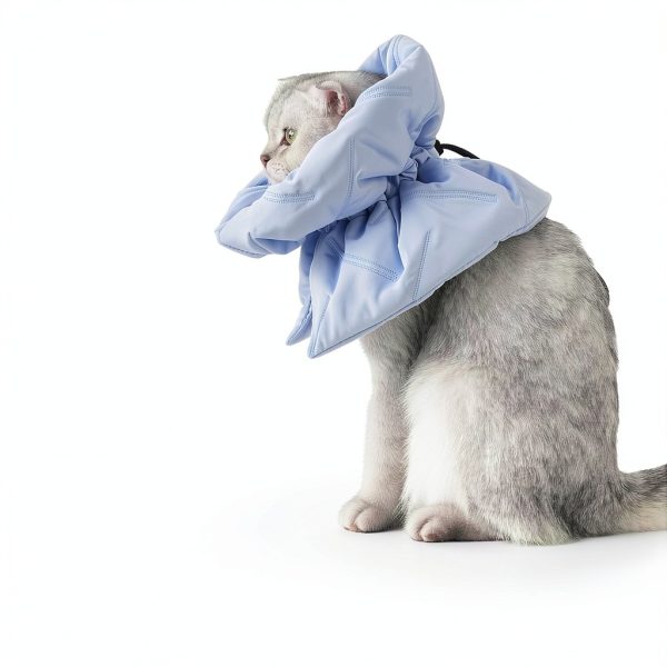 Adjustable Cat Recovery Cone Collar, Lightweight Soft Cat E-Collar Alternative After Spay, Waterproof Comfy Collars to Stop Licking Wound After Surgery, Protective Cone for Kittens/Puppies-2