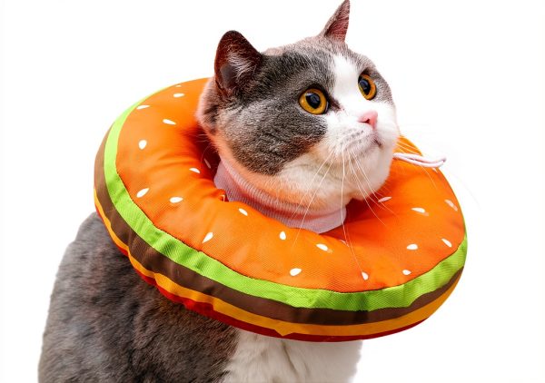 EWES Cat Cone Collar Soft M – Recovery Collar with Hamburger Style-0