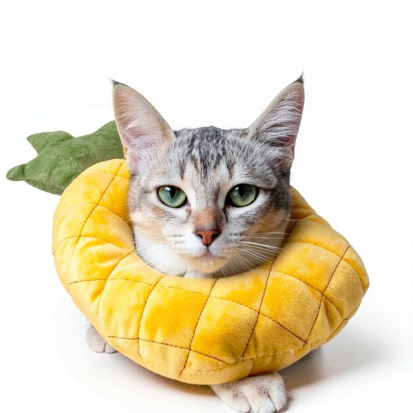 Weewooday 4 Pcs Adjustable Cat Cone Collar Soft Cat Recovery Collar Cute Kitten Fruits Shaped After Surgery Wound Elizabeth Padded Pet Neck Anti Bite Lick Dog Comfortable Smooth Texture-4