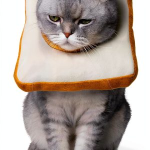 Amakunft Adjustable Cat Cone Collar Soft, Cat Recovery Collar, After Surgery Neck Cone, Elizabethan Collar for Kitten-0